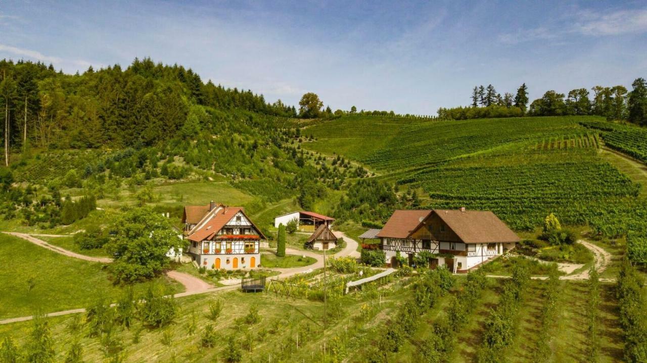 Apartamento Steinhof Oberkirch  Exterior foto